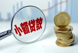 东莞11哪里可以小额贷款-东莞11哪里有民间借贷-东莞11民间短期私借借款
