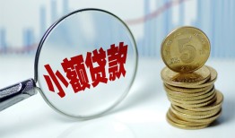 东莞11哪里可以小额贷款-东莞11哪里有民间借贷-东莞11民间短期私借借款