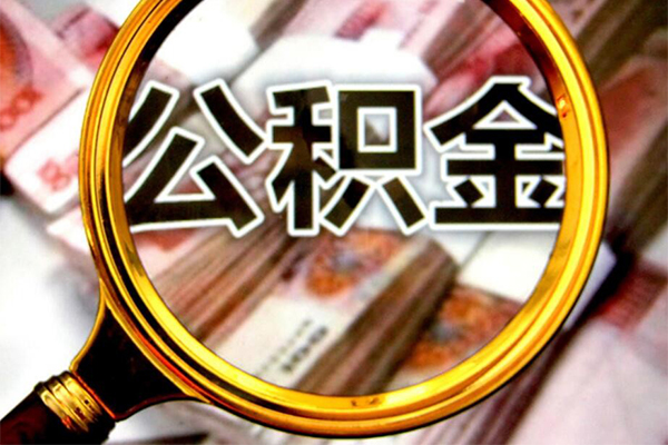 东莞11短期借款